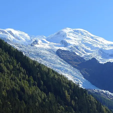 Appartamento Le Chamois Blanc.9 Chamonix
